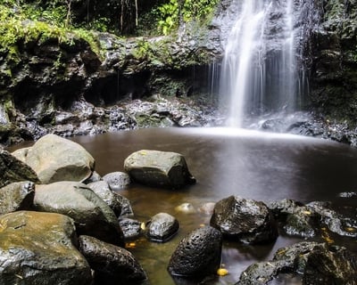 Oahu North Shore & Waimea Falls Private Tour
