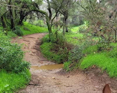 1-Hour Guided Trail Ride in La Verne