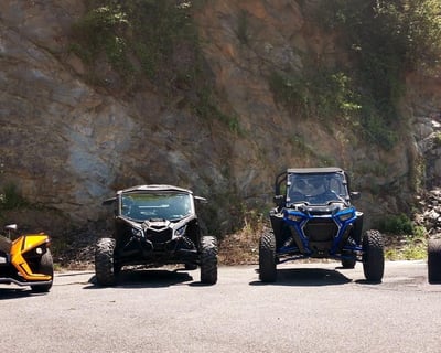 1-Day UTV Rental in Townsend