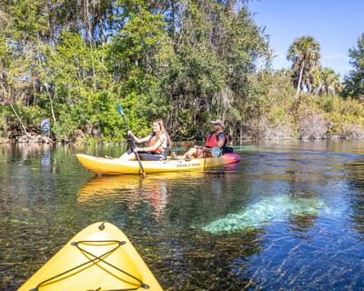 Self-Guided Kayak Rental at Weeki Wachee