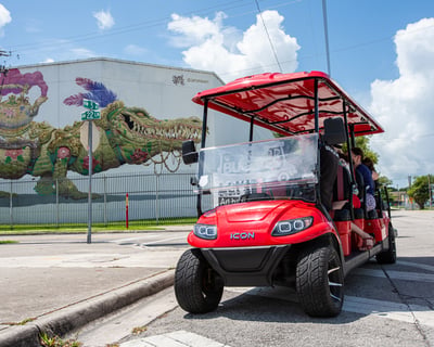 Wynwood Art District Electric Buggy Tour In Miami