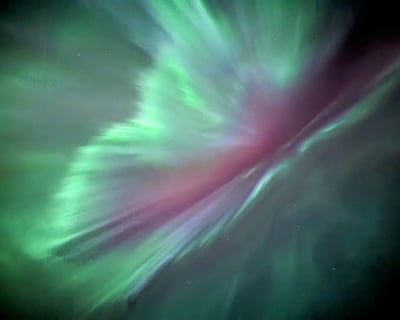 Stargazing Guided Tour in Banff National Park