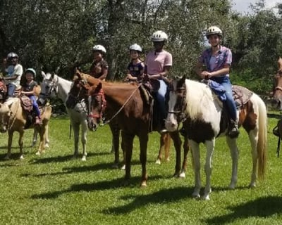 Western Riding Lesson & Farm Tour in Homestead