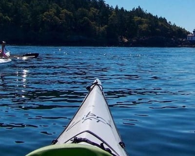 San Juan Island Full-Day Kayak Tour