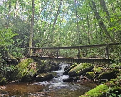 Self-Drive Guided Nantahala National Forest Tour