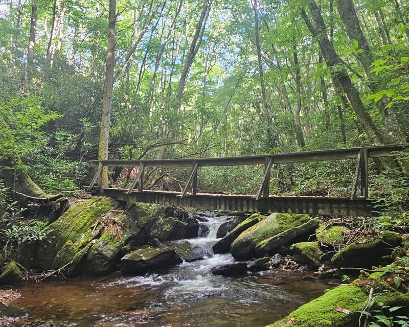 Self-Drive Guided Nantahala National Forest Tour