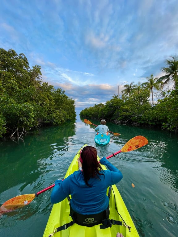 Kayak Through Mangroves & Spot Marine Life