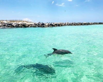 Full-Day Shell Island Private Charter
