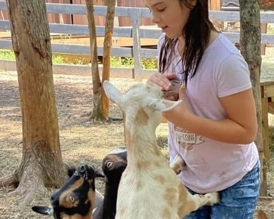 Alpaca Birthday Party in Snellville