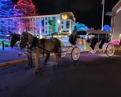 Horse-Drawn Christmas Light Carriage Ride in Caldwell