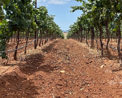 Pearce Wine Trail Guided Wine Tasting Tour