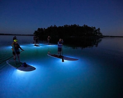 Paddleboard Glow Cruise Light & Sound Experience