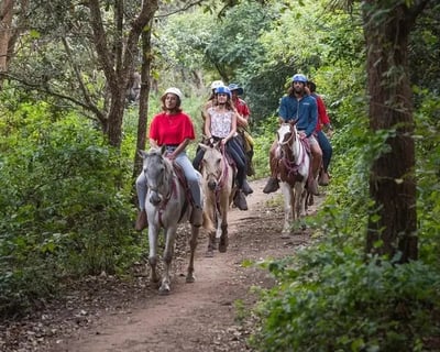 Rincón de la Vieja Waterfall Horseback Tour