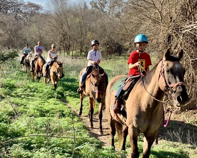45-Minute Guided Horseback Ride in Bandera