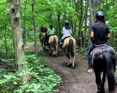 45-Minute Trail Ride in Findlay
