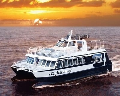 Ma'alaea Harbor Sunset Dinner Cruise on Quicksilver