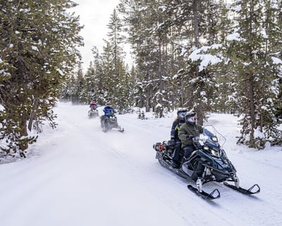 Guided 2-Hour Snowmobile Tour in Traverse City