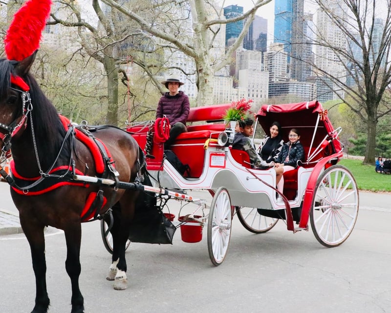 30-Minute Evening Horse Carriage Ride in Central Park