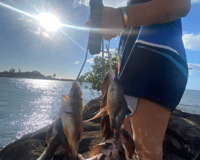Fish for Invasive Species on O'ahu Shoreline