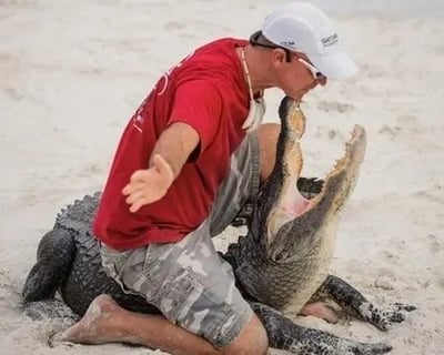 20-Minute Alligator Show in Fort Lauderdale