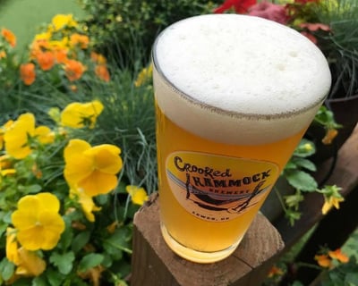 Beer Garden Tour - All Inclusive