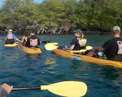 Morning Guided Kayak & Snorkel Tour in Kealakekua Bay
