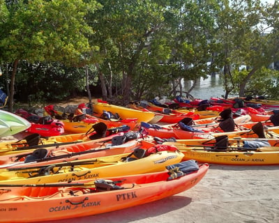 Kayak, Paddleboard & Bike Rentals in Tavernier