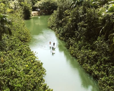 Private Guided Kayak & Paddleboard Tour in Isabela