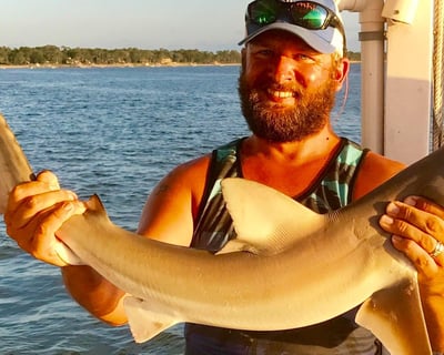4-Hour Inshore Shark Fishing Trip in Hilton Head