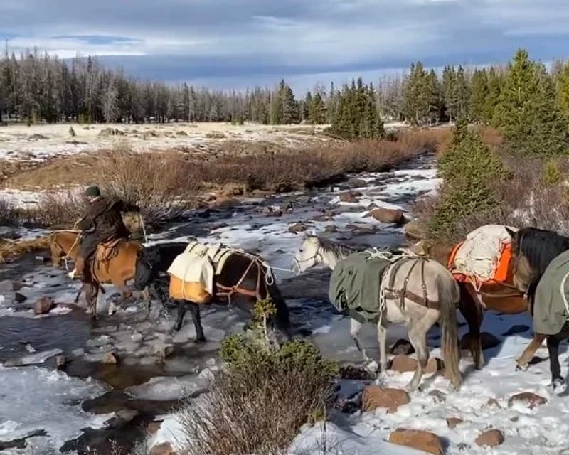 Beginner Horseback Trail Ride in Kamas, Utah