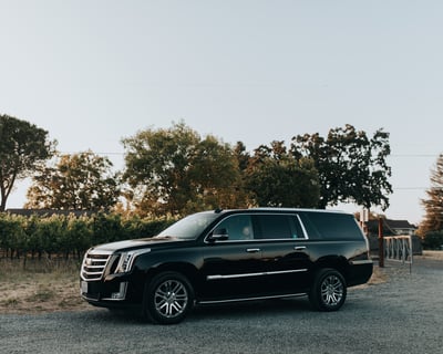 Private Winery Tour in Sonoma County