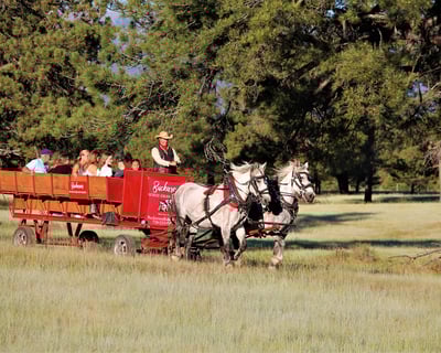 Pagosa Springs Horse-Drawn Wagon & Ranch Tour