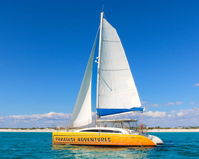 Private Dolphin Sightseeing Catamaran Sail in Panama City