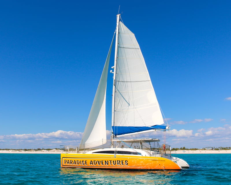 Private Dolphin Watching Catamaran Cruise in Panama City