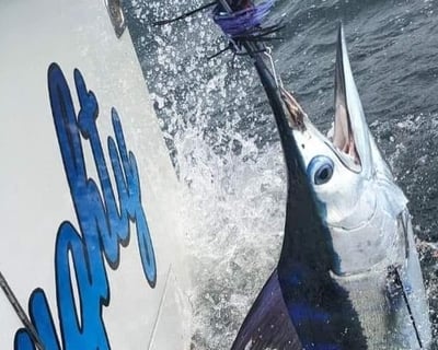 Ocean City Full-Day Deep Sea Fishing Charter