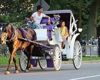50-Minute Central Park Horse-Drawn Carriage Ride