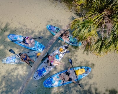 Naturalist-Guided Emerald Cut Paddleboard Tour