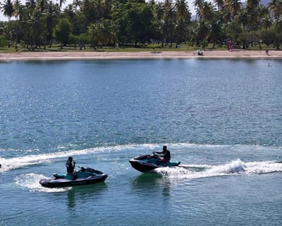 1-Hour Boquerón Bay Jet Ski Tour