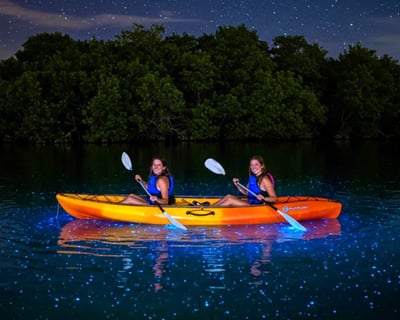 Vieques Clear-Bottom Kayak Bio Bay Tour