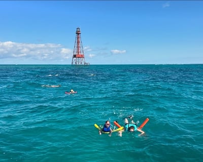 Snorkel Islamorada Reef Guided Tour