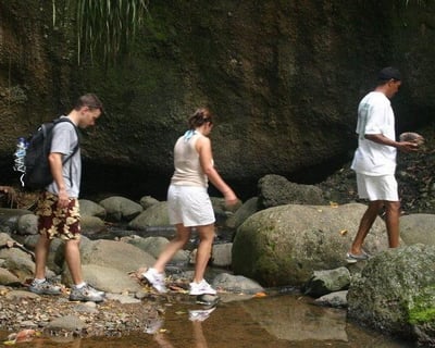Guided Waterfall Hike in St. Lucia