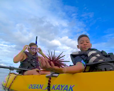 Mellow Kayak Cruise on Wailea's Turtle Town Coast