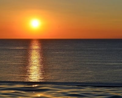 Private Sunset Cruise To 10,000 Islands With Wildlife Watching