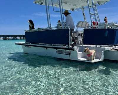 Cruise Crab Island on a Captained Pontoon in Destin