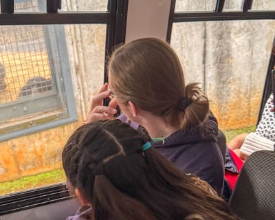 Blue Ridge Chimpanzee Viewing Bus Tour