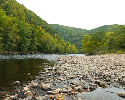 Guided Trout Fishing on Lower Lehigh River