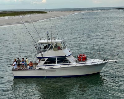 Orange Beach 4-12 Hour Fishing Charter