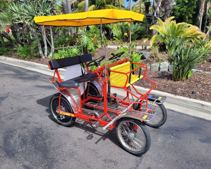 San Diego Single Surrey Bike Rental