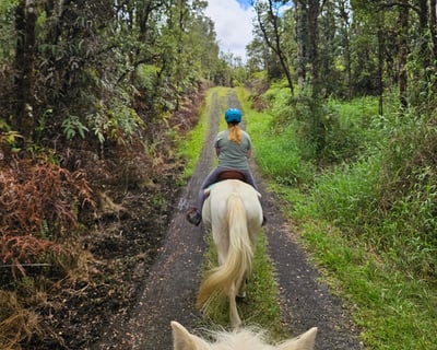 Rainforest Trail Ride & Ranch Tour in Pāhoa