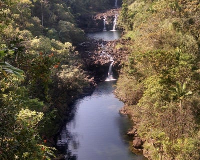 Explore Umauma Falls & Gardens Self-Guided Tour